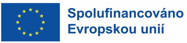 spolufin